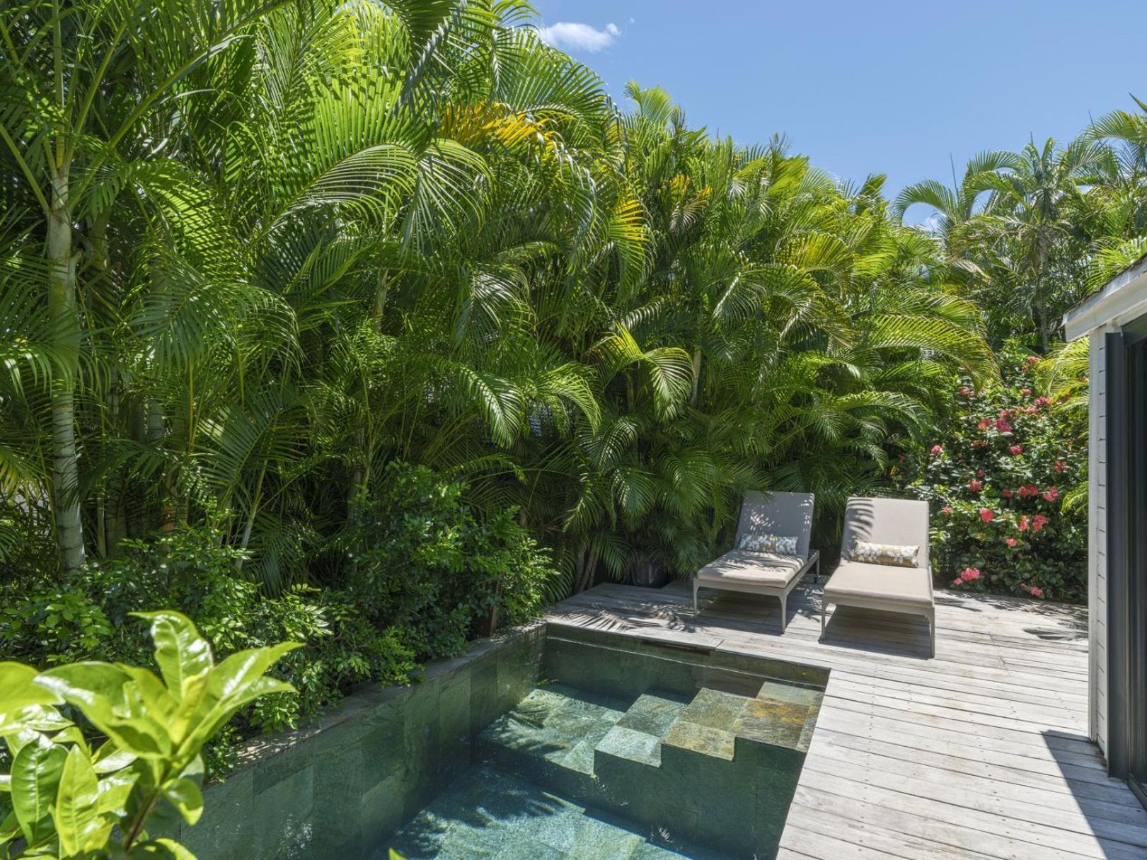 Junior Suite Tikaz Petite Piscine Privative et Jardin Tropical